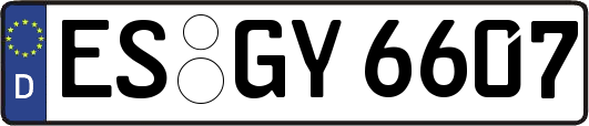 ES-GY6607