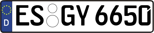 ES-GY6650