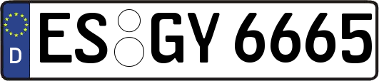 ES-GY6665