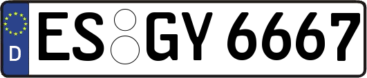 ES-GY6667