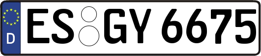 ES-GY6675