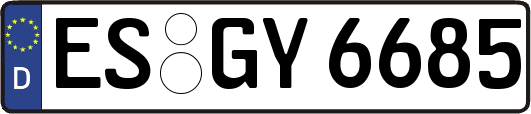ES-GY6685