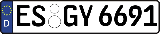 ES-GY6691