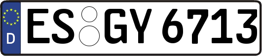 ES-GY6713