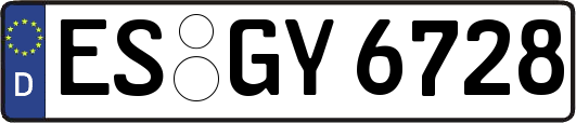 ES-GY6728