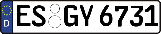 ES-GY6731