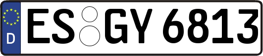 ES-GY6813