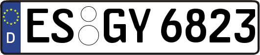 ES-GY6823