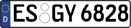 ES-GY6828