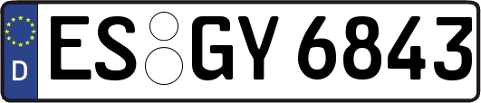 ES-GY6843
