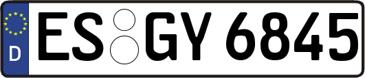 ES-GY6845