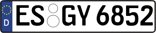 ES-GY6852