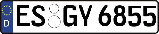 ES-GY6855