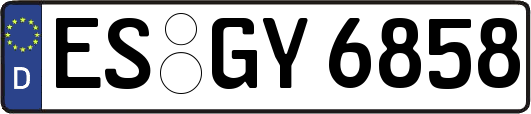ES-GY6858