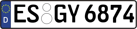 ES-GY6874