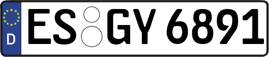 ES-GY6891