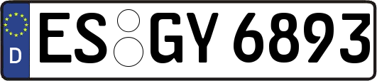 ES-GY6893