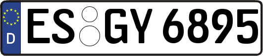 ES-GY6895