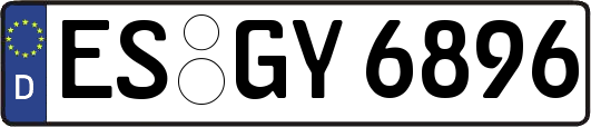 ES-GY6896