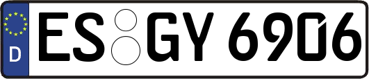ES-GY6906