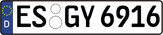 ES-GY6916