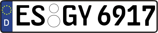 ES-GY6917