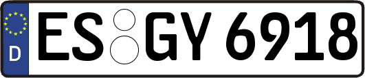 ES-GY6918