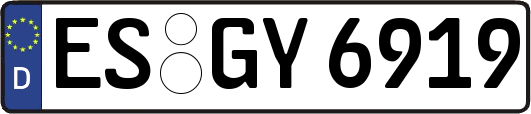 ES-GY6919