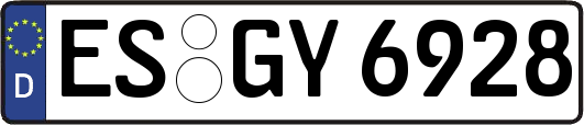 ES-GY6928