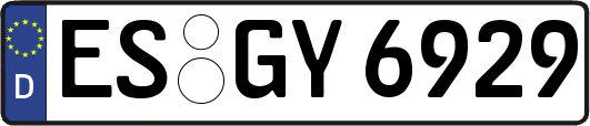 ES-GY6929