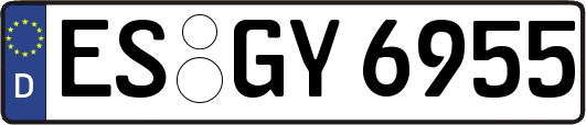 ES-GY6955