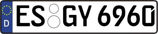 ES-GY6960