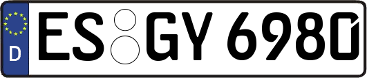 ES-GY6980