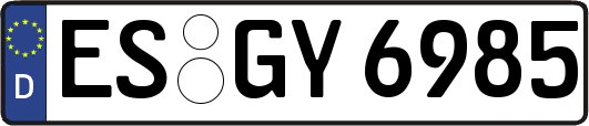 ES-GY6985