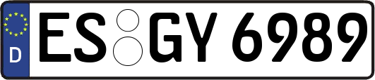 ES-GY6989
