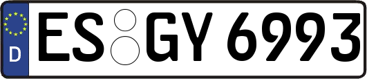 ES-GY6993