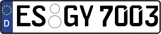 ES-GY7003