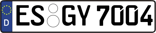 ES-GY7004