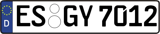 ES-GY7012