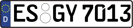 ES-GY7013