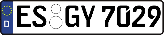 ES-GY7029