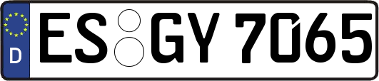 ES-GY7065