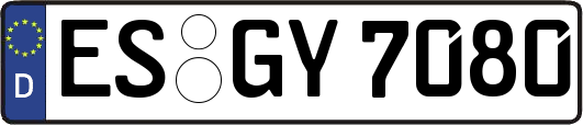 ES-GY7080