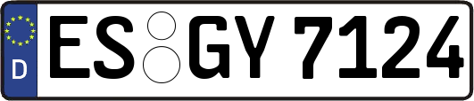 ES-GY7124
