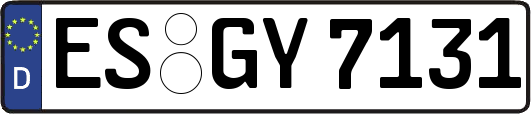 ES-GY7131