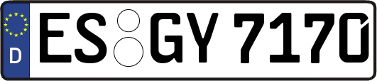 ES-GY7170