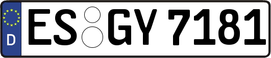 ES-GY7181
