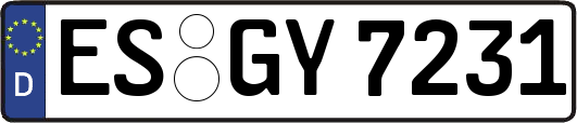 ES-GY7231