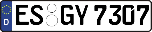 ES-GY7307