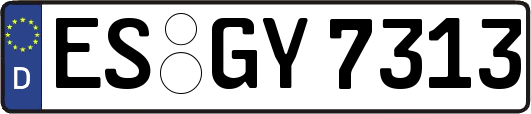 ES-GY7313
